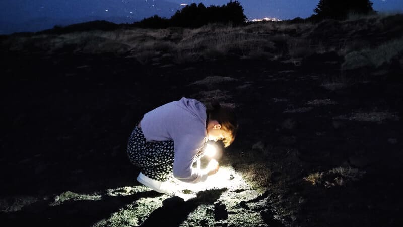 Etna Sunset and Night Trek - Guided sunset trek from Piano Provenzana across historic eruption fractures and panoramic viewpoints over the 2002 crater area. Etna Sunset and Night Trek